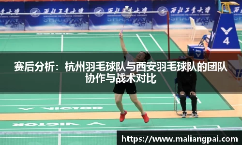 赛后分析：杭州羽毛球队与西安羽毛球队的团队协作与战术对比